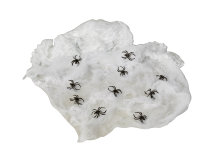 Spindelvev med 10 edderkopper